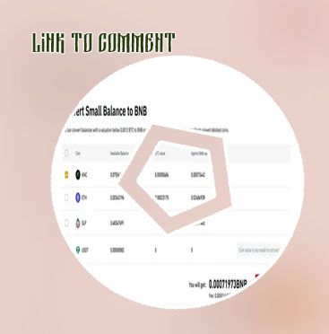 Convert btc to bnb
