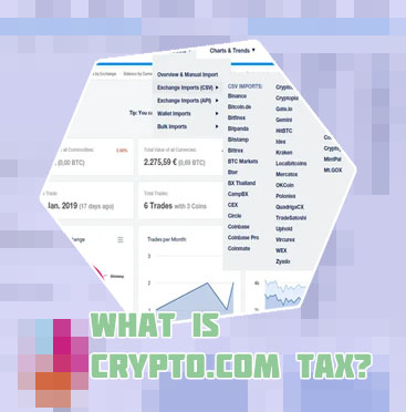 Free crypto tax calculator