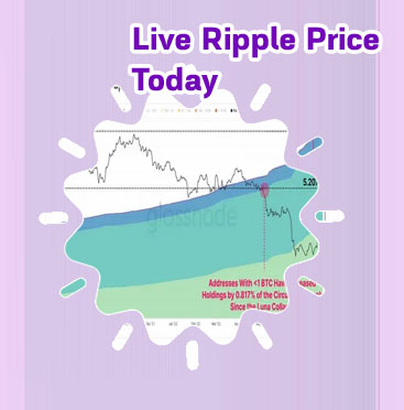 Ripple crypto price