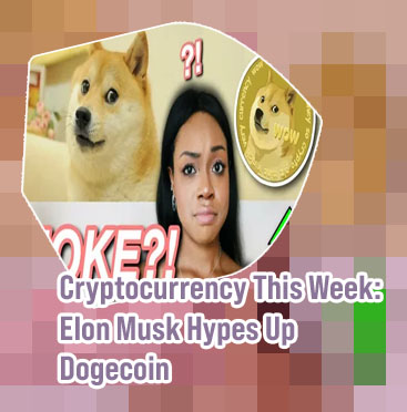 Wife dogecoin price in india
